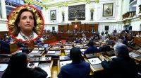 19% aprueba al Congreso tras vacancia de Dina Boluarte hoy – Prensa arequipena