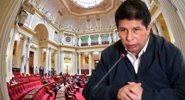 Castillo denuncia penal a congresistas y a Dina Boluarte – Prensa arequipena