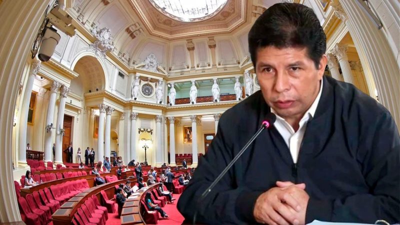Castillo denuncia penal a congresistas y a Dina Boluarte – Prensa arequipena