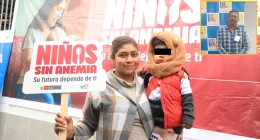 Anemia, desempleo e inseguridad: prioridades rumbo a 2026 – Prensa arequipena